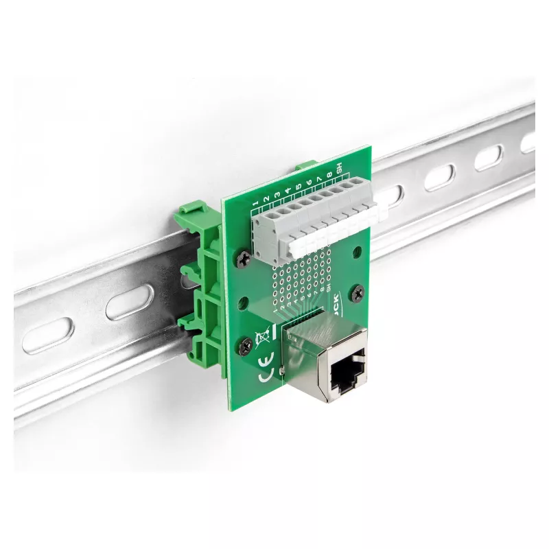 Delock RJ45 lizdas į gnybtų bloką su mygtuku DIN bėgiui kampuotas (66993)