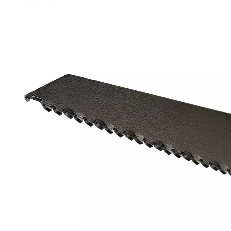 DEWALT DT2440L-QZ XR T-Shank pjūklelio geležtė medžiui, 100 mm, 6 TPI, 1 vnt.