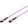 DIGITUS OM4 MPO į MPO 12 pluoštų sujungimo kabelis, 2m, A metodas, violetinis DK-2566-02/4
