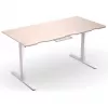 ENDORFY Atlas L Electric reguliuojamo aukščio stovimas stalas, šviesi mediena, 1400x600 mm