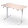 ENDORFY Atlas S Electric reguliuojamo aukščio stalas šviesios medienos 120x60 cm