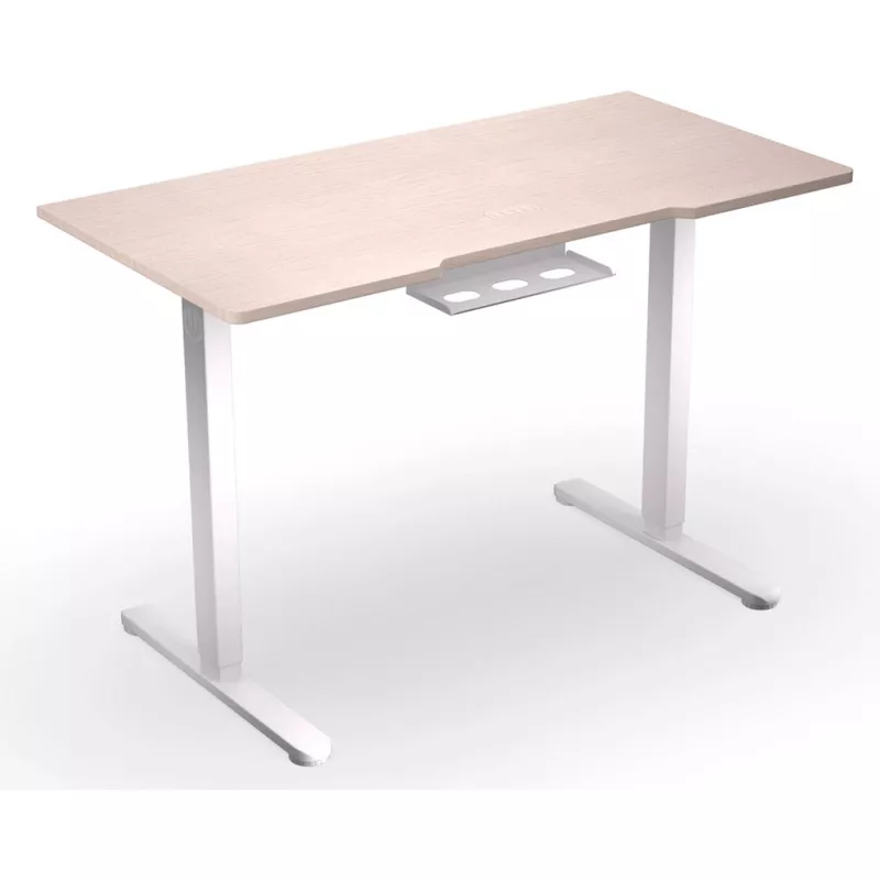ENDORFY Atlas S Electric reguliuojamo aukščio stalas šviesios medienos 120x60 cm