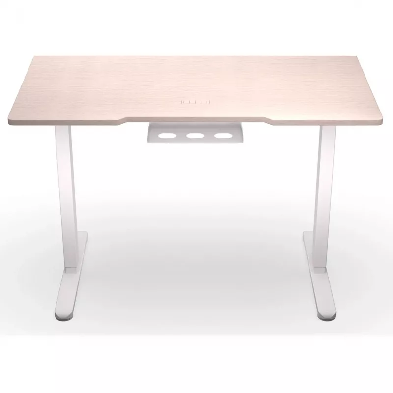 ENDORFY Atlas S Electric reguliuojamo aukščio stalas šviesios medienos 120x60 cm