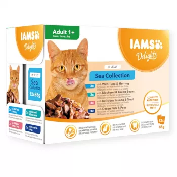 Eukanuba IAMS Delights suaugusiems jūros žuvies želė šlapias kačių maistas 12x85g