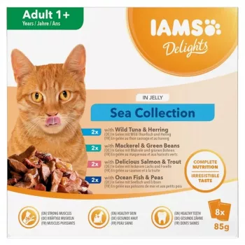 Eukanuba IAMS Delights Adult jūroje želė šlapias kačių maistas – 8x85g pakeliai