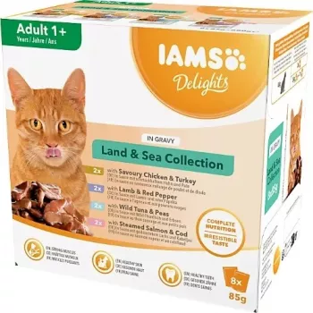 IAMS Delights Land & Sea Collection in Gravy drėgnas kačių ėdalas padaže, 8 x 85 g