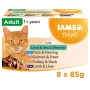 EUKANUBA IAMS DELIGHTS Land & Sea Collection želė – Šlapias kačių maistas – 8x85g