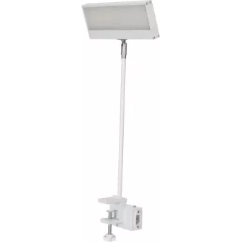 EUROLITE LED KKL-40 prožektorius 3CT baltas 41600600
