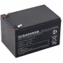 Europower EP12-12 12V 12Ah AGM Battery