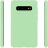 Evelatus Samsung Galaxy S10+ Nano silikoninis dėklas Soft Touch TPU mėtų