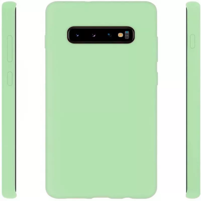 Evelatus Samsung Galaxy S10+ Nano silikoninis dėklas Soft Touch TPU mėtų