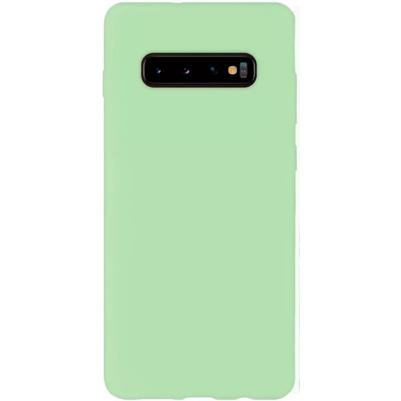 Evelatus Samsung Galaxy S10+ Nano silikoninis dėklas Soft Touch TPU mėtų