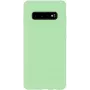 Evelatus Samsung Galaxy S10+ Nano silikoninis dėklas Soft Touch TPU mėtų