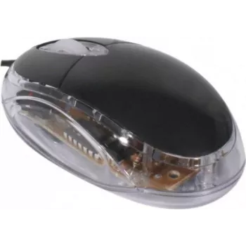 Exertis Connect 320300 abirankė USB optinė pelė, 800 DPI, juoda