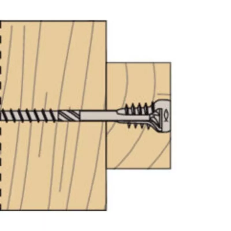 Fischer 558881 FAFS reguliavimo varžtas 5 mm x 100 mm T-profilio plieninis cinkuotas Torx T25 įleidžiama galvutė (100 vnt. pakuotė)