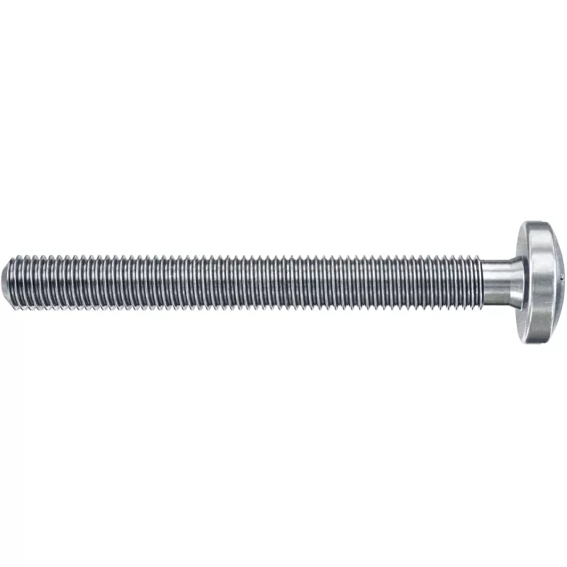 Fischer DuoHM 4x55 S PH PZ tuščiavidurių sienų inkaras 55 mm 4 vnt. 572911