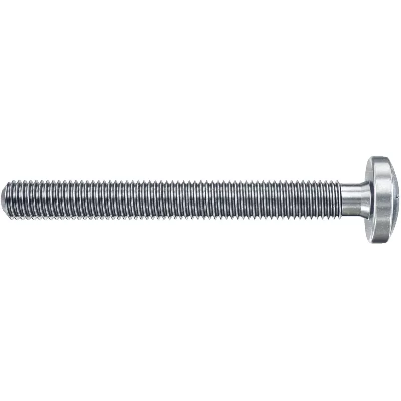 Fischer DuoHM 4x55 S PH TX tuščiavidurių sienų inkaras 55 mm 4 vnt. 572914