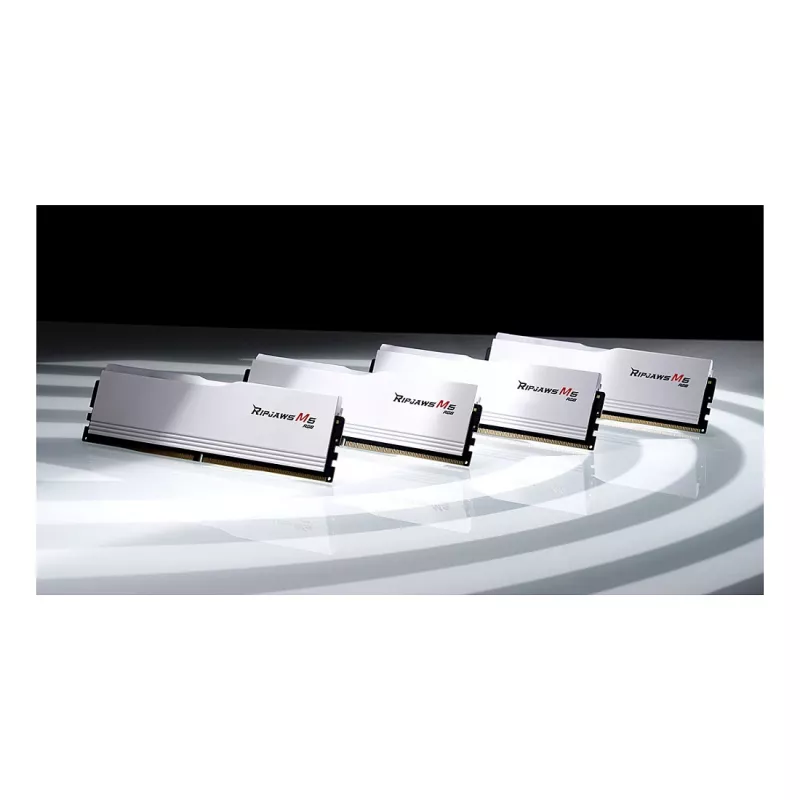 G.Skill Trident Z5 RGB 48GB (2x24GB) DDR5-6000 CL30 stalinis RAM - matinė juoda