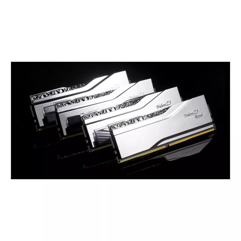 G.Skill Trident Z5 Royal RGB 48GB (2x24GB) DDR5-8400 CL40 stalinio kompiuterio atminties rinkinys - poliruotas sidabras