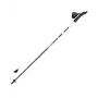 Gabel Stride Light FLS šiaurietiško ėjimo lazdos - fiksuoto ilgio 120 cm, aliuminio kotas, kamštinė/guminė rankena