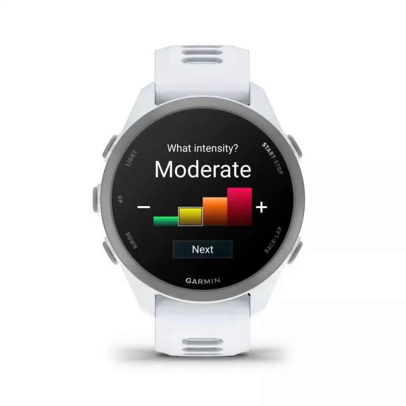 Garmin Forerunner 170 Music, Whitestone su Whitestone/Cloud Blue dirželiu