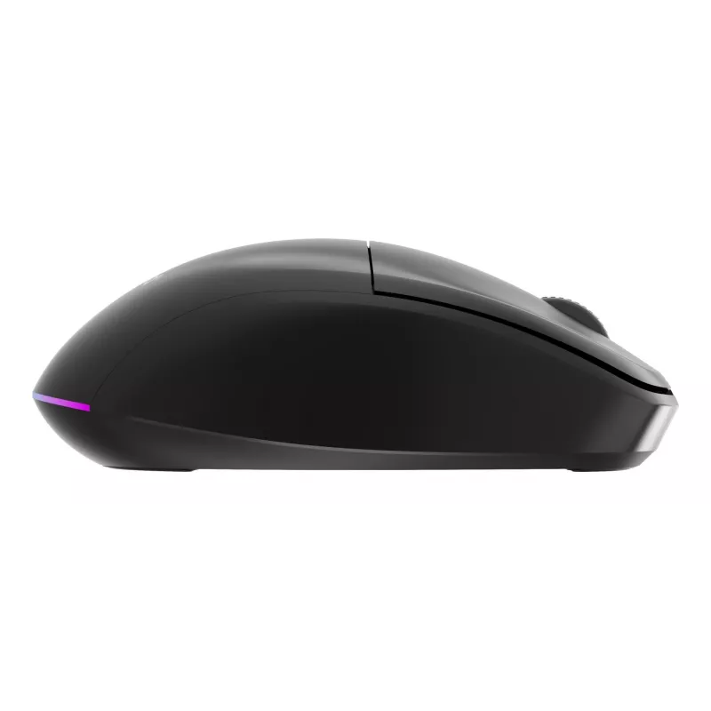 Gembird MUSW2-6B-01 dviejų režimų belaidė pelė, 2.4 GHz + Bluetooth 5.0, 1600 DPI, 6 mygtukai, juoda