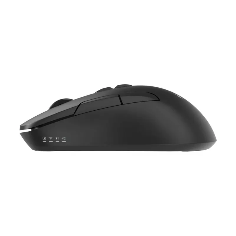 Gembird MUSW2-7B-01 dviejų režimų belaidė pelė (2.4G + Bluetooth), 1600 DPI, 7 mygtukų, juoda