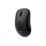 Gembird MUSW2-7B-01 dviejų režimų belaidė pelė (2.4G + Bluetooth), 1600 DPI, 7 mygtukų, juoda