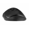 Gembird MUSW3-9B-01 trijų režimų belaidė ergonominė pelė (2.4 GHz + Bluetooth + USB-C), 2400 DPI, 9 mygtukai, juoda