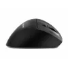 Gembird MUSW3-9B-01 trijų režimų belaidė ergonominė pelė (2.4 GHz + Bluetooth + USB-C), 2400 DPI, 9 mygtukai, juoda