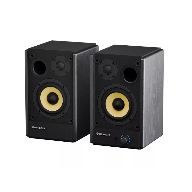 Genesis Arsen 402BT NGS-2415 stalinės kolonėlės, 2.0, 60 W, Bluetooth 5.3, juodos