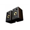 GENESIS ARSEN 402BT 2 krypčių bronzos spalvos laidinis ir belaidis 60 W