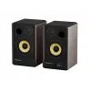 GENESIS ARSEN 402BT 2 krypčių bronzos spalvos laidinis ir belaidis 60 W