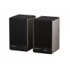 GENESIS ARSEN 402BT 2 krypčių bronzos spalvos laidinis ir belaidis 60 W