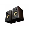GENESIS ARSEN 502BT 2-way Bronze Wired & Wireless 60 W