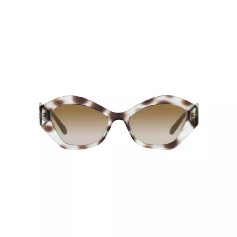 Giorgio Armani moteriški AR8144-588113 Havana acetatiniai akiniai nuo saulės – kvadratinis rėmas, rudi gradientiniai lęšiai, UV400