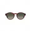 GIORGIO ARMANI Moteriški akiniai nuo saulės AR8146-596271 Havana Acetate Green Gradient 50/15/145 mm