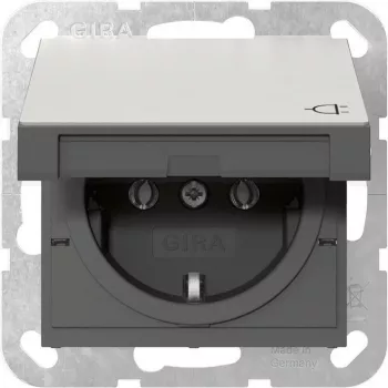 Gira 4454600 SCHUKO kištukinis lizdas su atlenkiamu dangteliu, System 55, nerūdijantis plienas