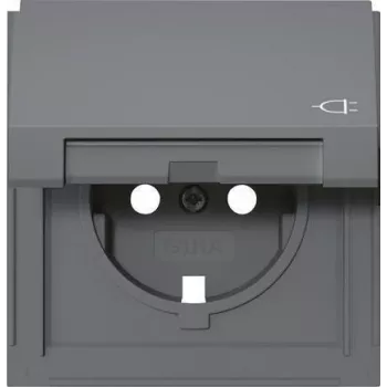 Gira TX_44 SCHUKO lizdo dangtelis su atlenkiamu viršeliu, antracito 492267