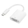 Gizzu 1080P Type-C į VGA adapteris Poly