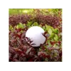 Greenblue GB121 lauko LED stulpinis šviestuvas, juodas