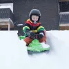 Hamax Sno Zebra sniego rogės žalios polietilenas