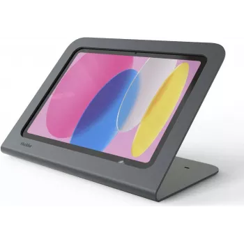 Heckler Design H750X-BG WindFall planšetinio kompiuterio laikiklis 9,7 colio iPad, pilkas