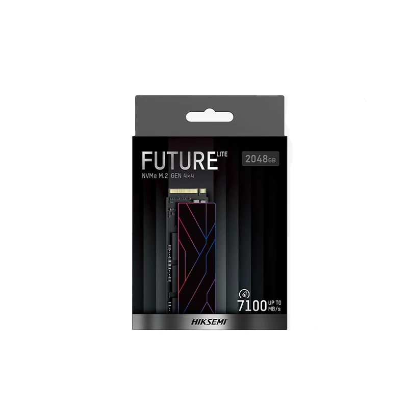 HIKSEMI Future Lite 2TB M.2 NVMe kietojo disko įrenginys