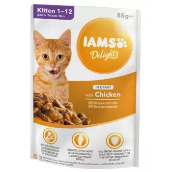 IAMS Delights Kačiukas Vištiena padaže šlapias kačių maistas, 12 x 85g pakeliai