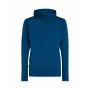 Icebreaker Quantum IV LS Zip Hoodie Vyriška Atlantido spalvos