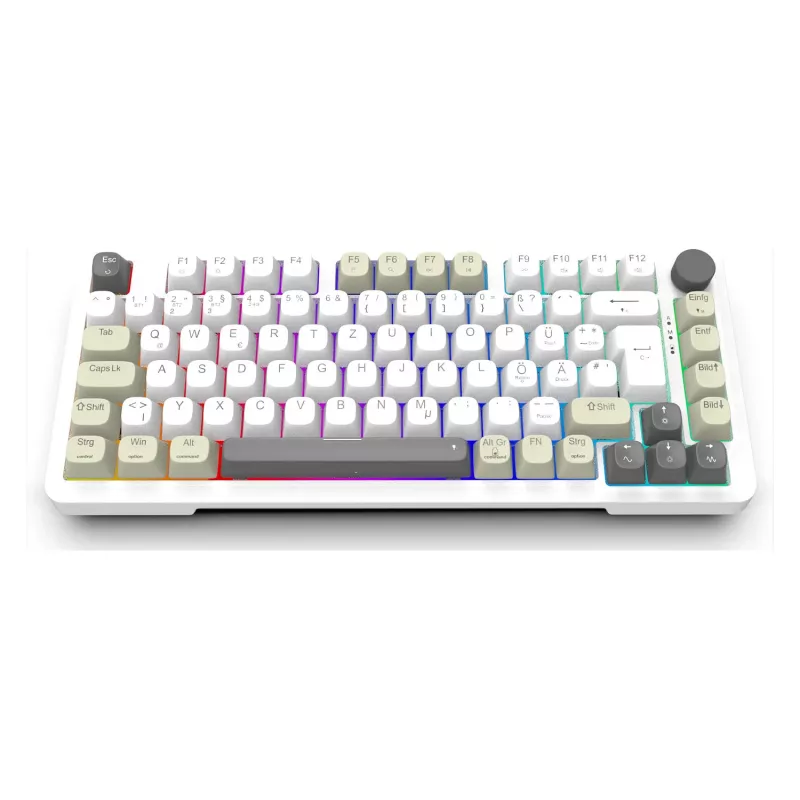 INCA Gaming Keyboard RGB GraySwitch USB-C/BT 2.00m White (IKG-455)