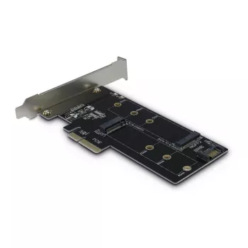 Inter-Tech PCIe adapterio kortelė KT015 PCIe x4 į M.2 NVMe + SATA į M.2