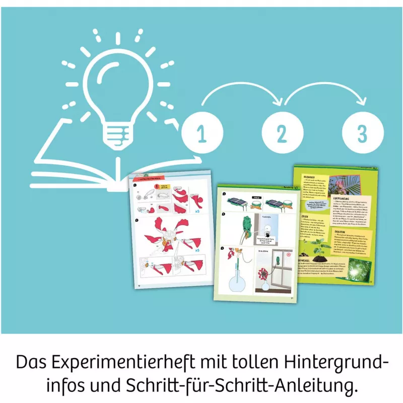 Kosmos Solar-Flower Science Experiment Kit