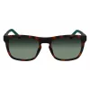 Lacoste L956S-230 vyriški akiniai nuo saulės Havana rudi stačiakampiai acetatas 55mm